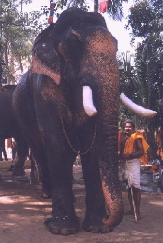 ganapathi