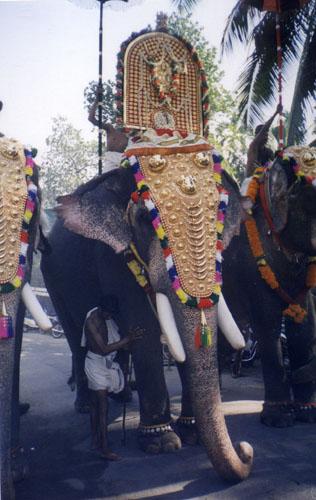 padmanabhan2003