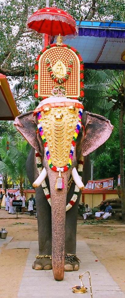 pakalpooram012006